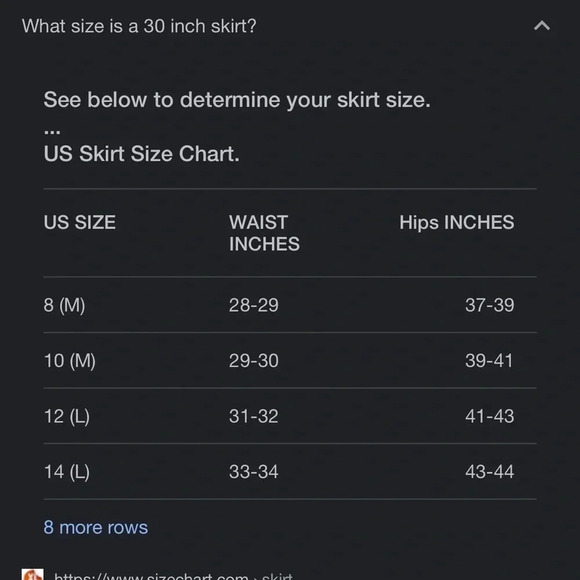 Vintage Halston lifestyle rust orange skirt minimalist contemporary 90's classic - Picture 6 of 6